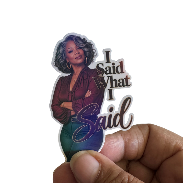I Said What I Said Sticker